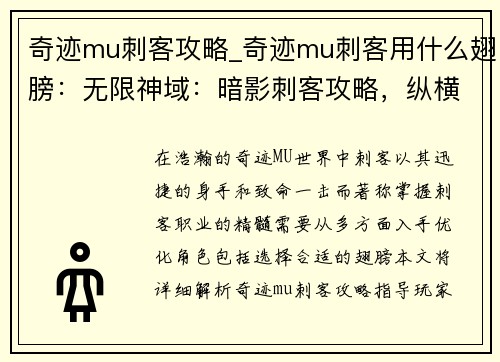 奇迹mu刺客攻略_奇迹mu刺客用什么翅膀：无限神域：暗影刺客攻略，纵横奇迹MU