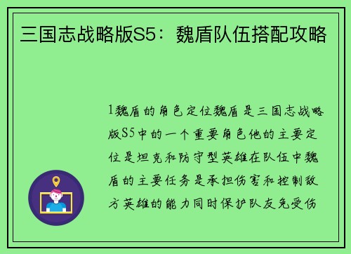 三国志战略版S5：魏盾队伍搭配攻略